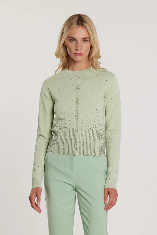 Relish Cardigan MOSS maniche lunghe girocollo con bottoni più applicazioni strass