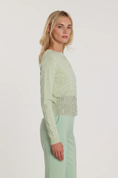 Relish Cardigan MOSS maniche lunghe girocollo con bottoni più applicazioni strass